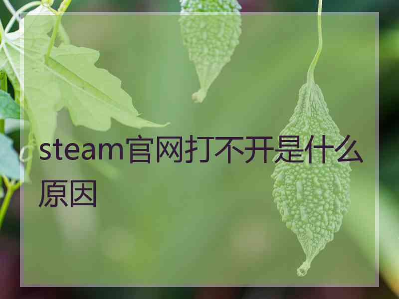 steam官网打不开是什么原因