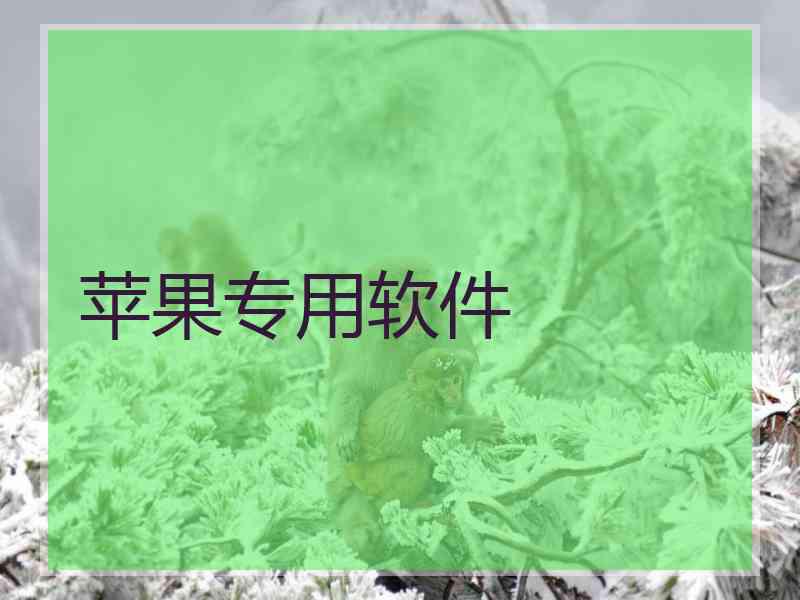 苹果专用软件