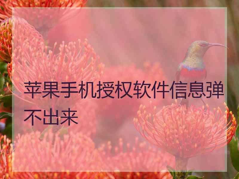 苹果手机授权软件信息弹不出来