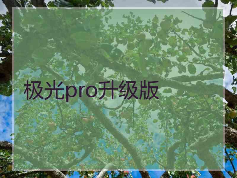 极光pro升级版