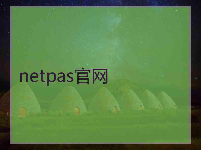 netpas官网