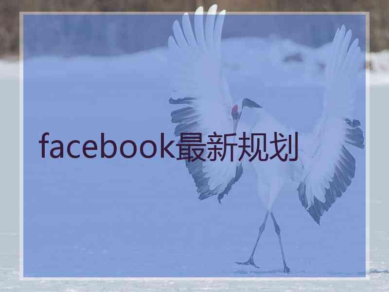 facebook最新规划