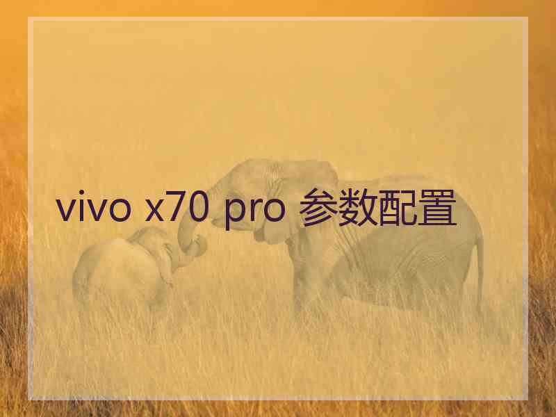 vivo x70 pro 参数配置