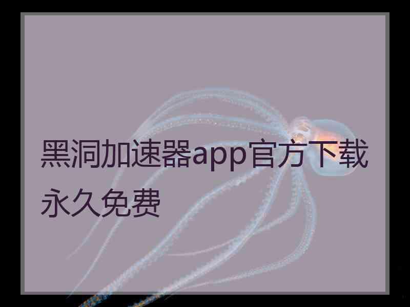 黑洞加速器app官方下载永久免费