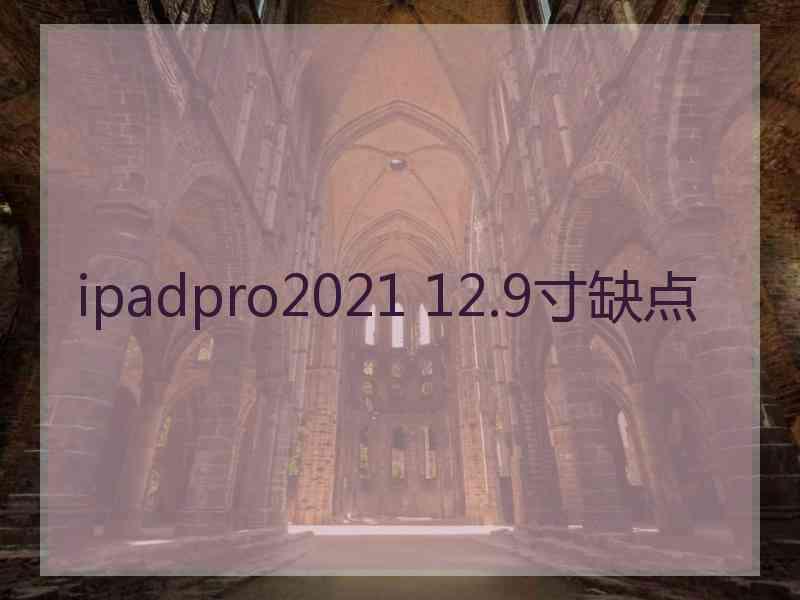 ipadpro2021 12.9寸缺点