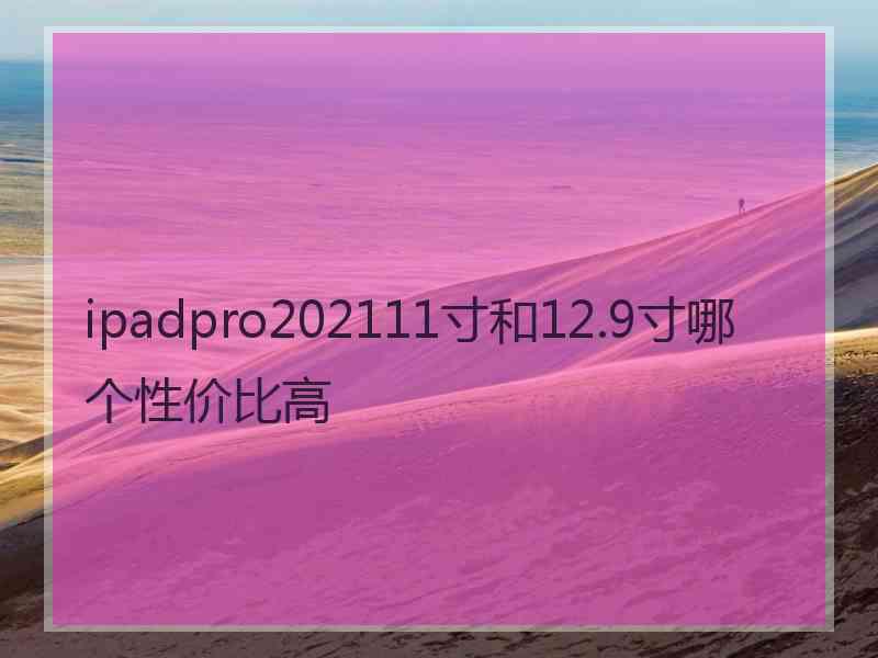 ipadpro202111寸和12.9寸哪个性价比高