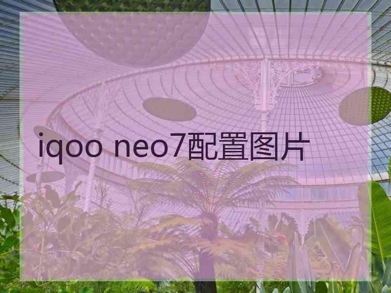 iqoo neo7配置图片