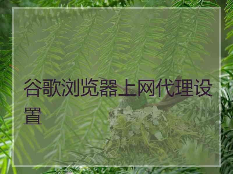 谷歌浏览器上网代理设置