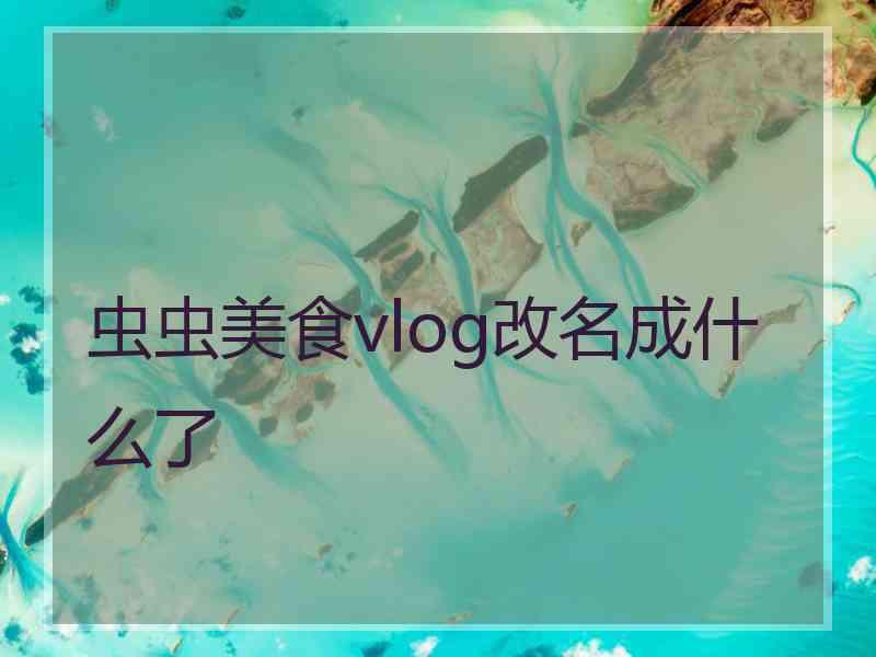 虫虫美食vlog改名成什么了