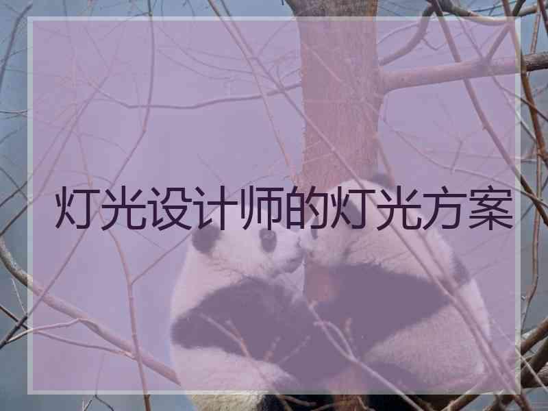 灯光设计师的灯光方案