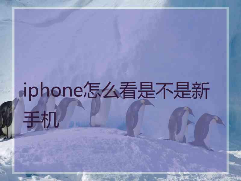 iphone怎么看是不是新手机