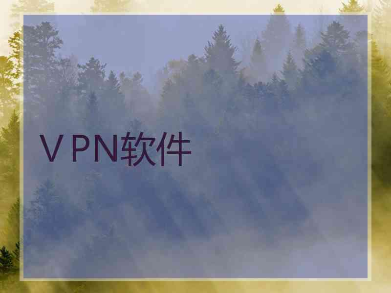 ⅤPN软件