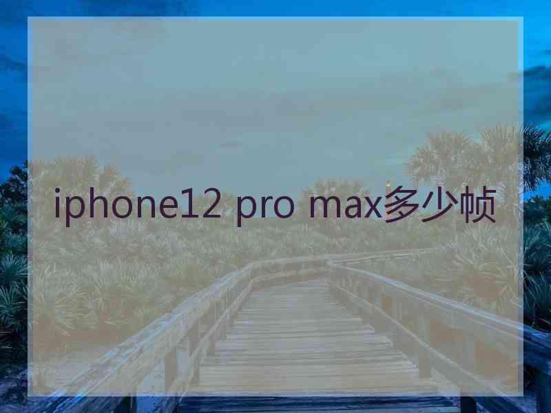 iphone12 pro max多少帧