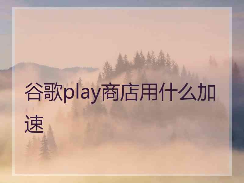 谷歌play商店用什么加速