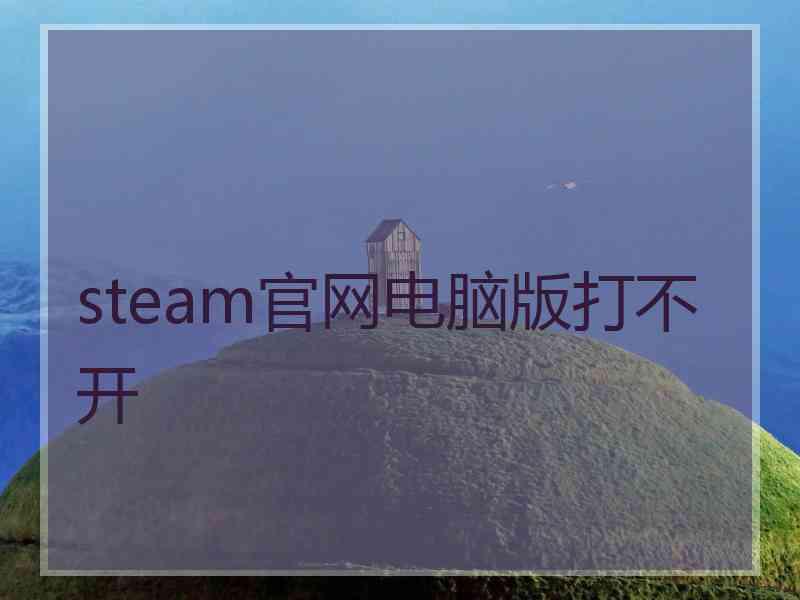 steam官网电脑版打不开