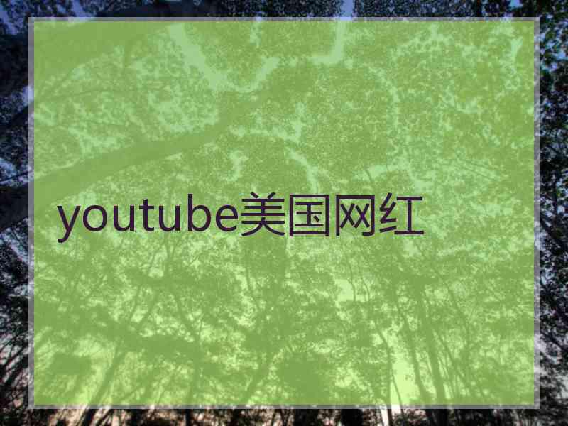 youtube美国网红