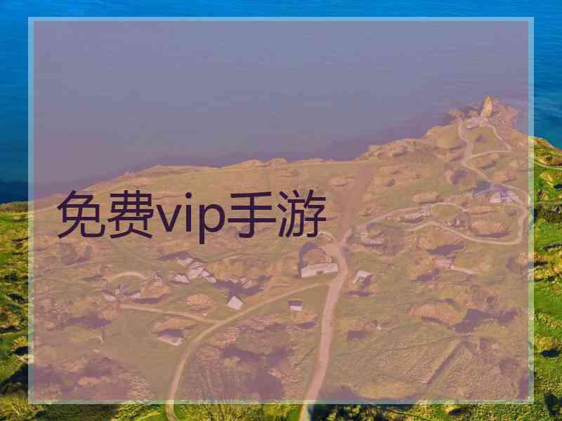 免费vip手游