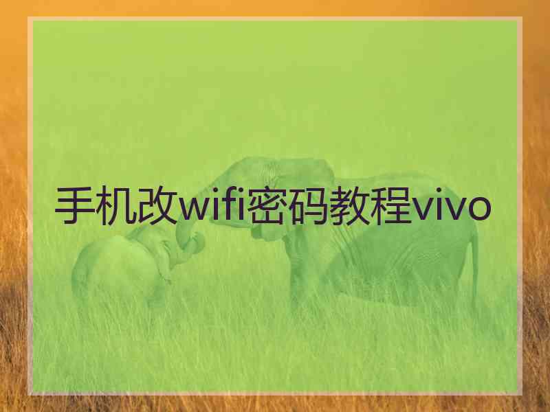 手机改wifi密码教程vivo