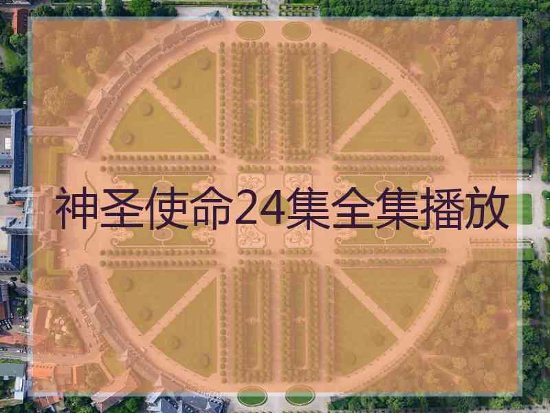 神圣使命24集全集播放