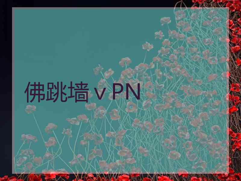 佛跳墙ⅴPN