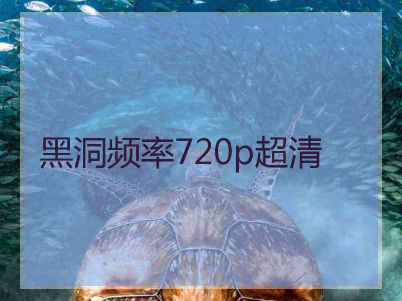 黑洞频率720p超清