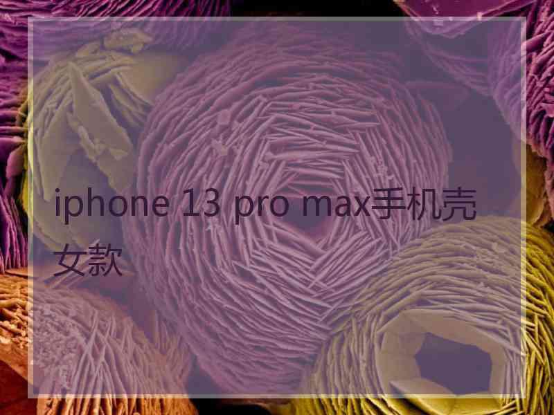 iphone 13 pro max手机壳女款