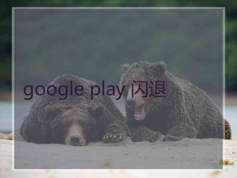 google play 闪退