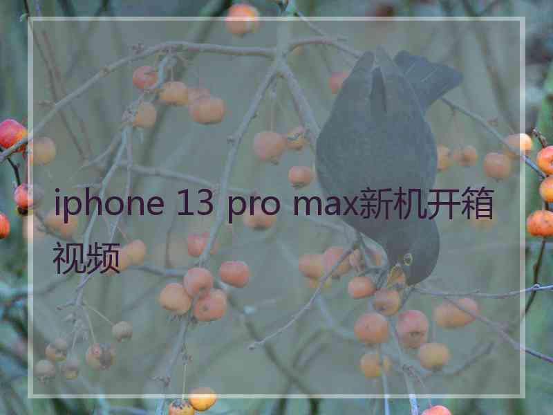 iphone 13 pro max新机开箱视频