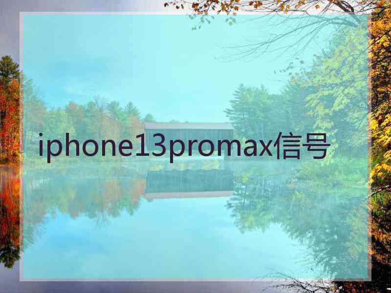 iphone13promax信号