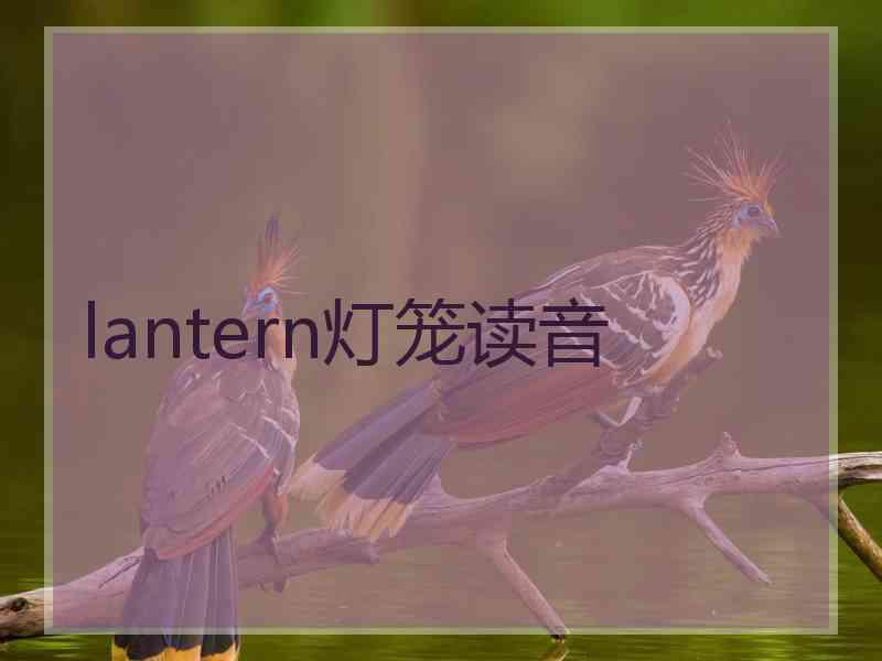 lantern灯笼读音