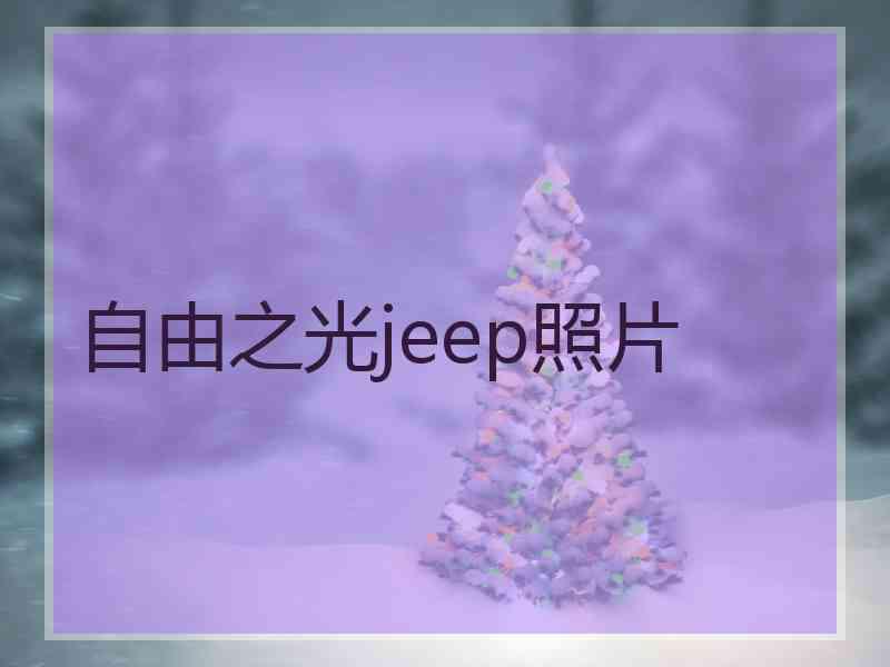 自由之光jeep照片