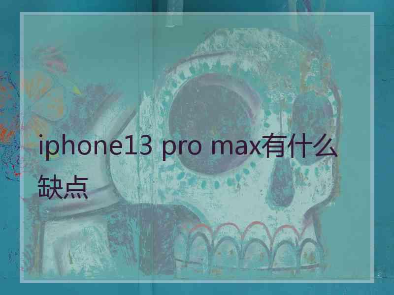 iphone13 pro max有什么缺点