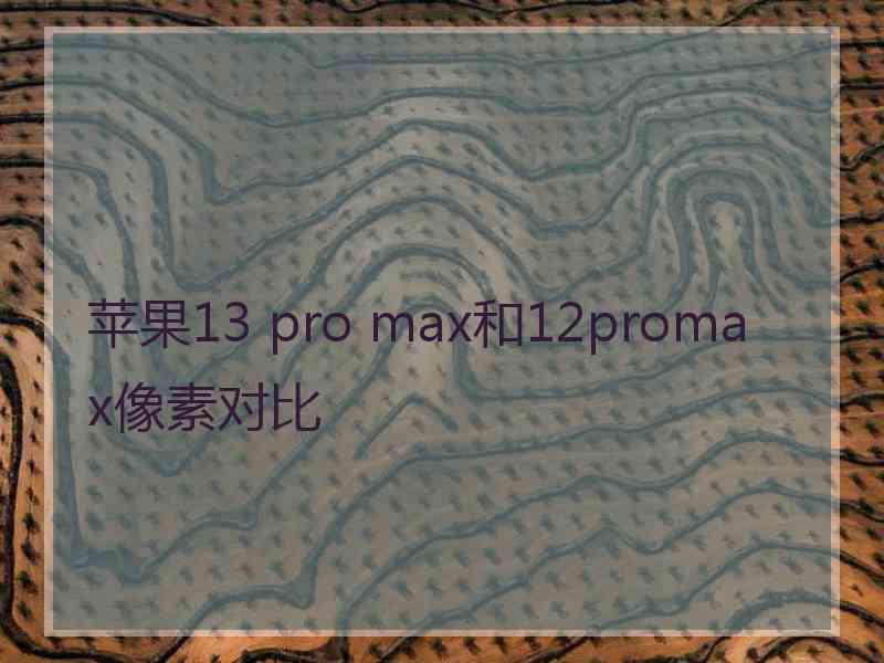 苹果13 pro max和12promax像素对比