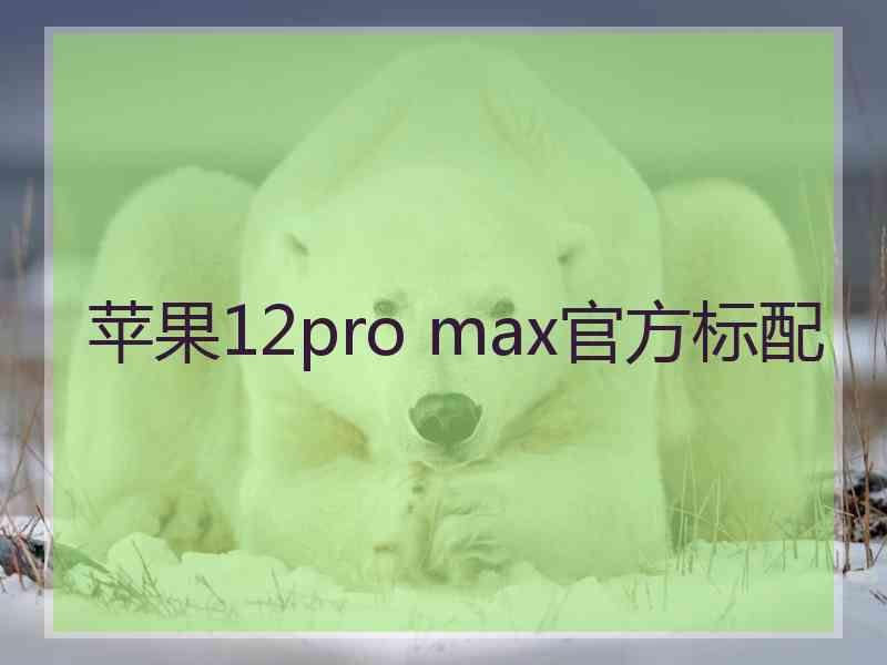 苹果12pro max官方标配