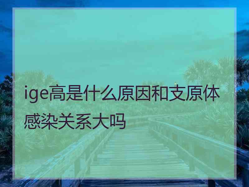 ige高是什么原因和支原体感染关系大吗