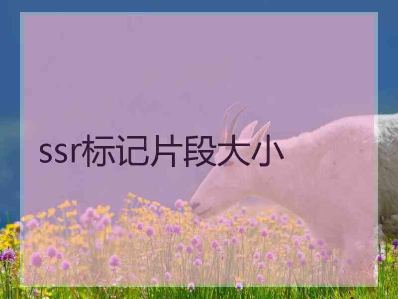 ssr标记片段大小