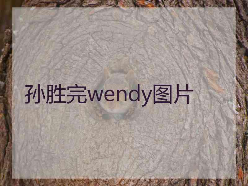 孙胜完wendy图片