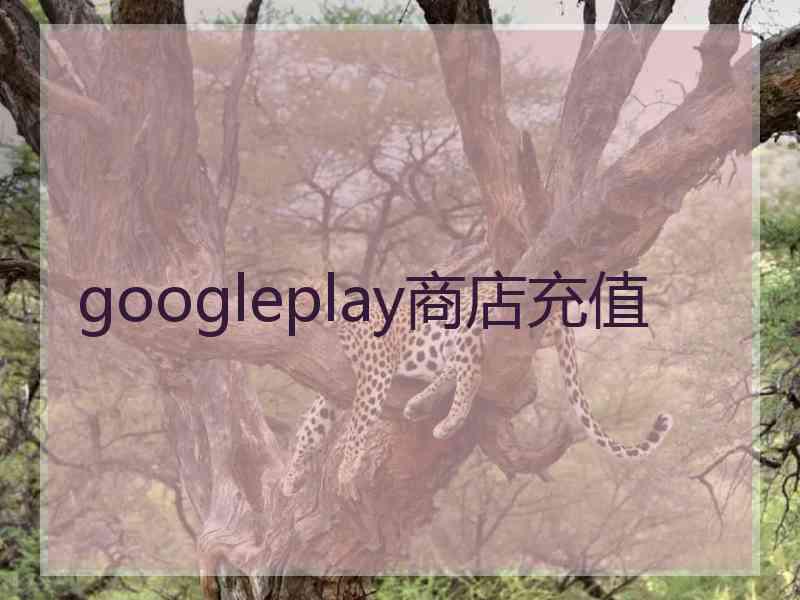 googleplay商店充值