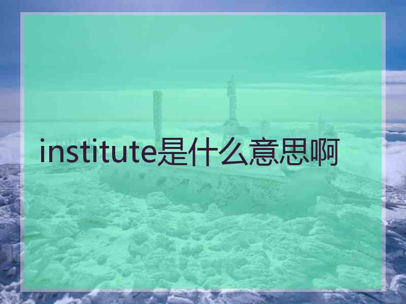 institute是什么意思啊