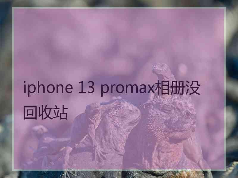 iphone 13 promax相册没回收站