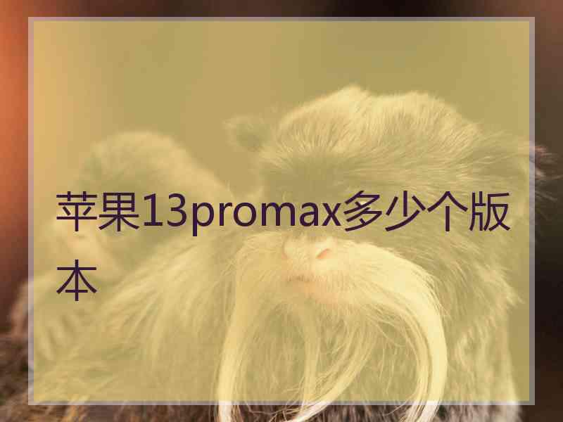 苹果13promax多少个版本