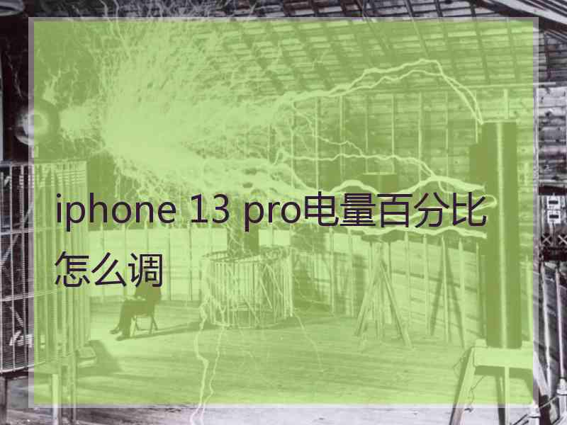 iphone 13 pro电量百分比怎么调