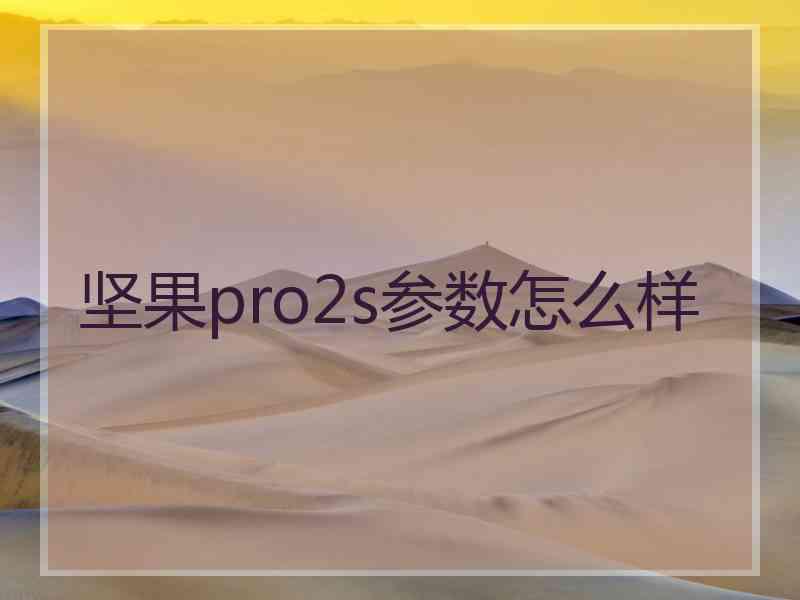 坚果pro2s参数怎么样