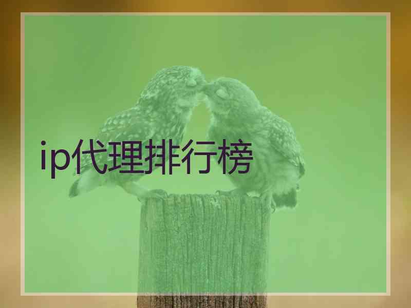 ip代理排行榜