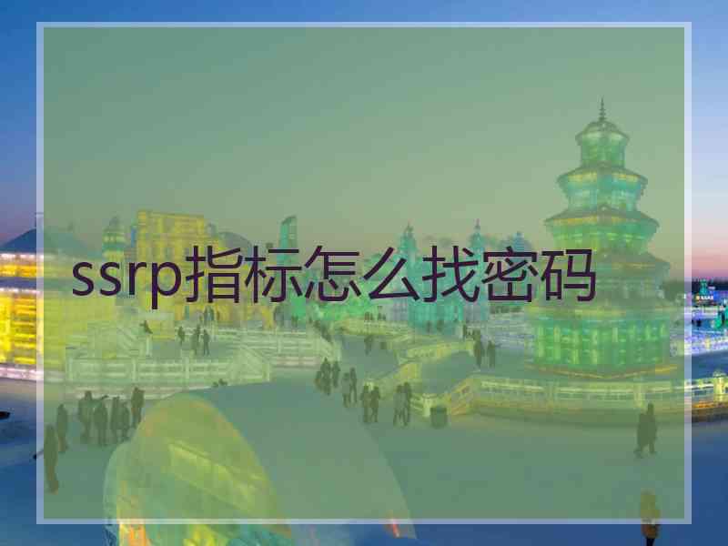 ssrp指标怎么找密码