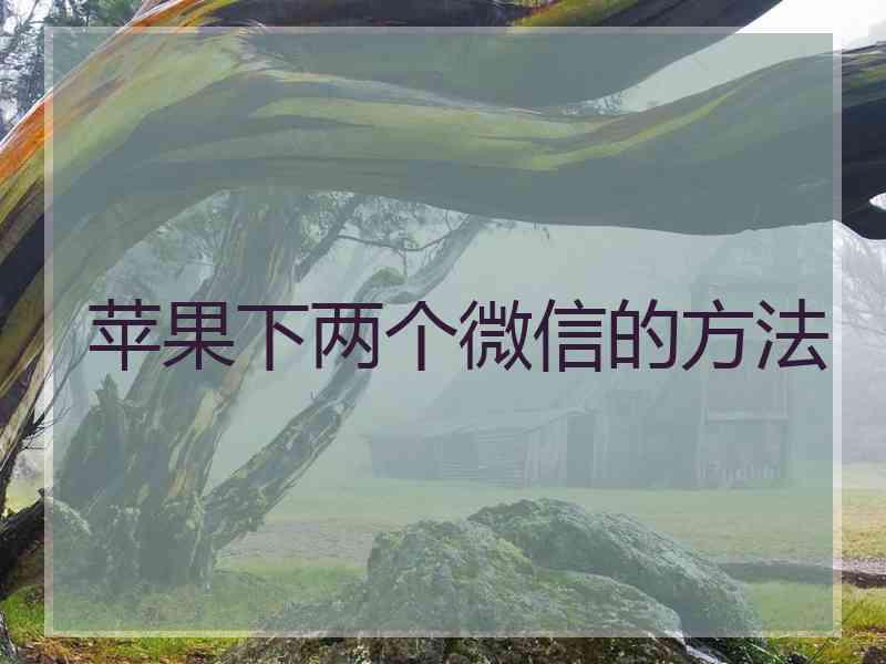 苹果下两个微信的方法