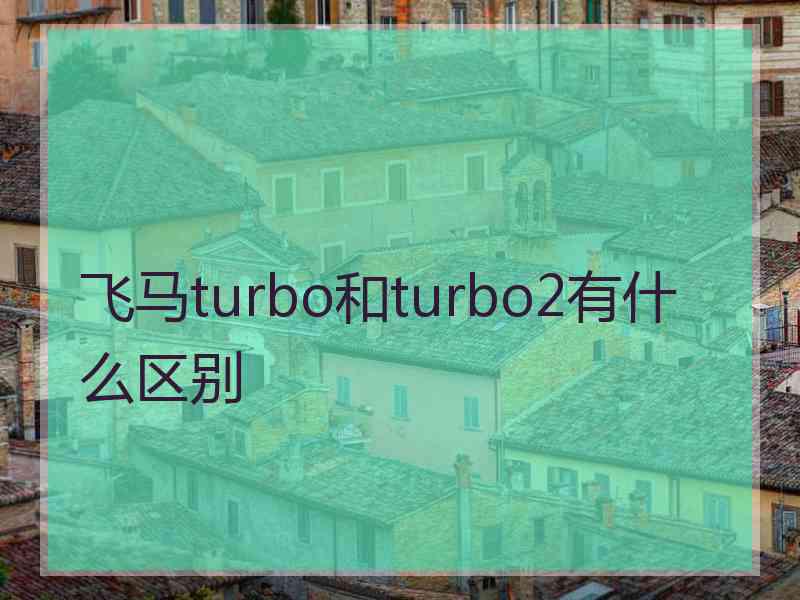 飞马turbo和turbo2有什么区别