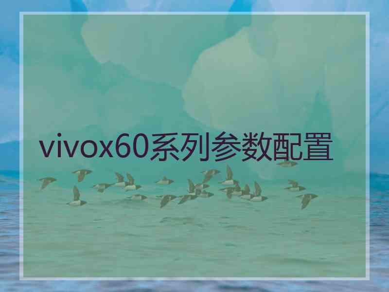 vivox60系列参数配置