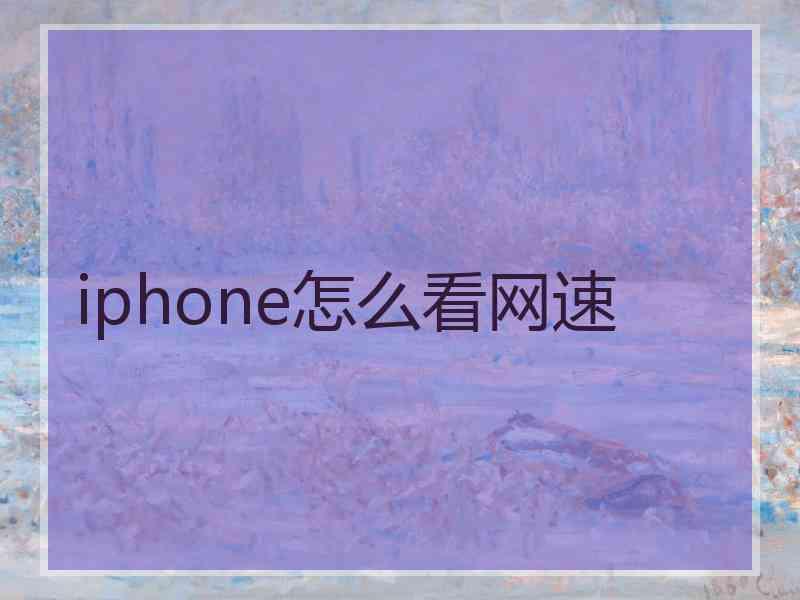 iphone怎么看网速