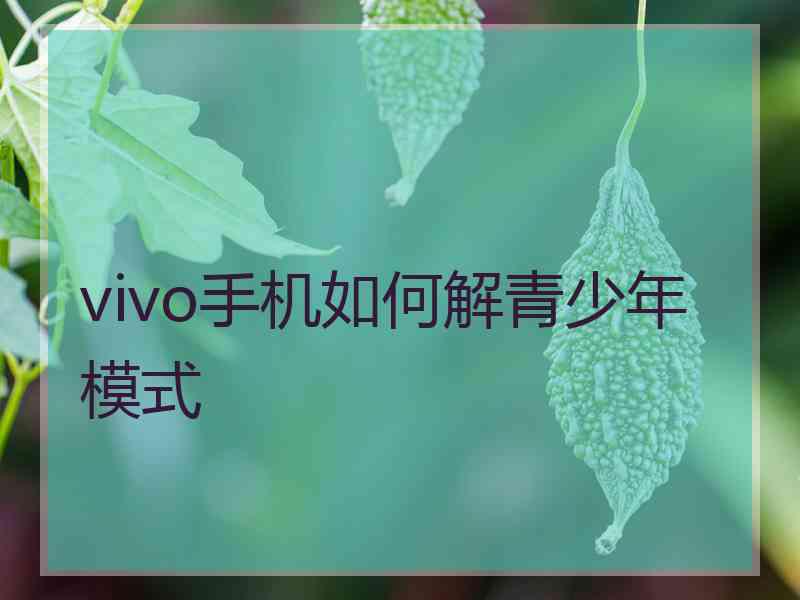 vivo手机如何解青少年模式